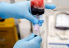 Fhemeron faz apelo por doações de sangue em Porto Velho: estoques críticos colocam vidas em risco
