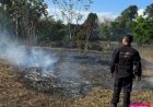PF já prendeu seis por incêndios criminosos em Rondônia em 2025