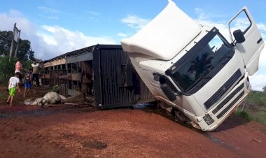 Carreta com bois tomba em Corumbiara e motorista fica ferido