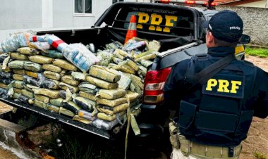 PRF apreende quase 190 kg de skunk escondidos em bebedouros na BR-364 em Vilhena (RO)