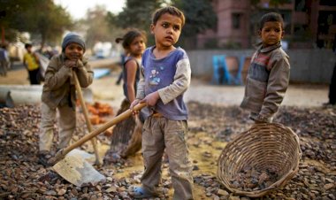 Mais de 6 mil crianças e adolescentes são resgatados do trabalho infantil no Brasil em dois anos