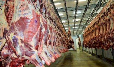 Rondônia se destaca internacionalmente na produção e exportação de carne bovina sob gestão Marcos Rocha