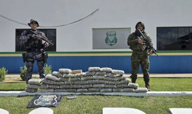 Dupla é presa com quase 50 kg de skunk durante operação em rodovia de Rondônia