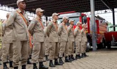 Corpo de Bombeiros abre 262 vagas temporárias para brigadistas em Rondônia com salário de R$ 2.277
