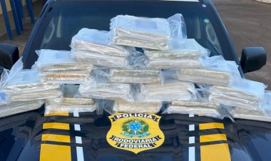 PRF apreende quase 33 kg de maconha em ônibus interestadual em Porto Velho