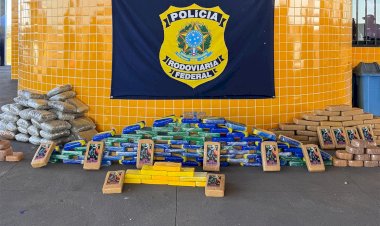 Caminhão com madeira de Rondônia levava mais de 200 kg de drogas para Minas Gerais