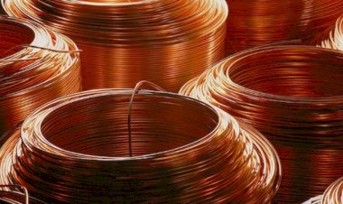 Polícia Civil prende dois suspeitos por roubo de cabos de cobre em Ariquemes durante a Operação Blecaute