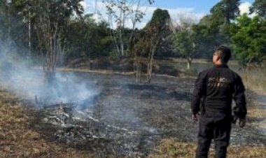 PF já prendeu seis por incêndios criminosos em Rondônia em 2025