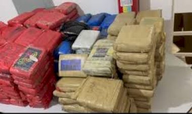 PRF apreende mais de 250 kg de skunk em abordagem na BR-364, em Pimenta Bueno