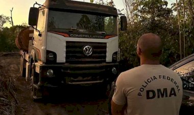 Após dois meses, Operação Sentinelas da Amazônia registra queda nas queimadas e prisões por crimes ambientais em RO