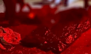 Mulher é morta a tiros e companheiro fica ferido em ataque na zona Leste de Porto Velho