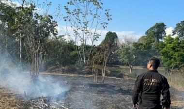 Polícia Federal prende dois suspeitos de provocar incêndio em área federal de Porto Velho