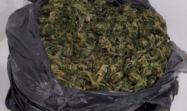 Irmãs de Vilhena São Presas com Mala Contendo Skunk em Terminal Rodoviário de Cuiabá