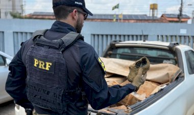 PRF prende homem por tráfico de drogas e corrupção de menores na BR-364 em Porto Velho