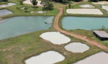 Torneio de Pesca “O Bambuzão” será realizado em Vilhena em prol do Hospital de Amor