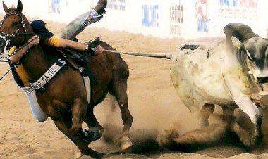 13ª Vaquejada de Colorado do Oeste fortalece tradição, turismo e economia com apoio de Ezequiel Neiva