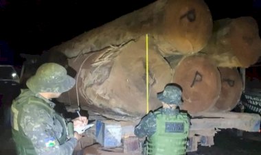 Operação Protetor dos Biomas apreende mais de 160 m³ de madeira e 11 veículos em menos de quatro dias em Rondônia