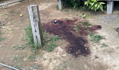 Dois mortos e um ferido em ataque a tiros na zona rural de Candeias do Jamari