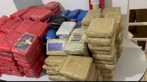 PRF apreende mais de 250 kg de skunk em abordagem na BR-364, em Pimenta Bueno