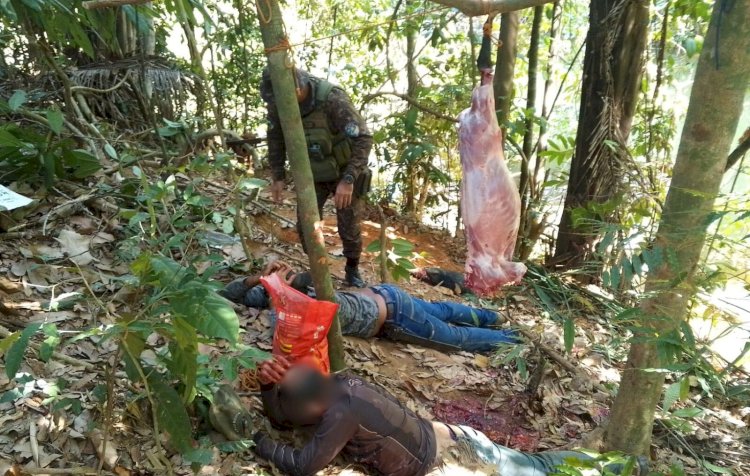 Operação ambiental flagra caça ilegal e apreende armas em floresta de Rondônia