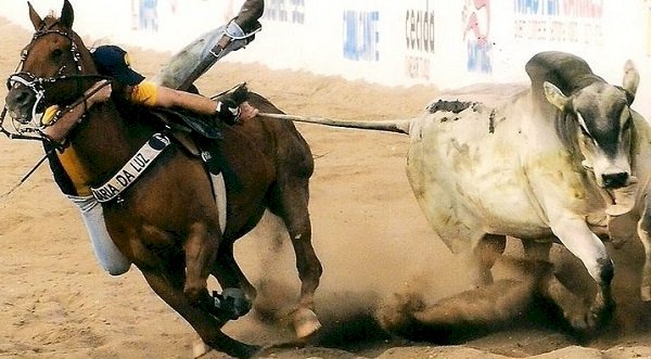 13ª Vaquejada de Colorado do Oeste fortalece tradição, turismo e economia com apoio de Ezequiel Neiva