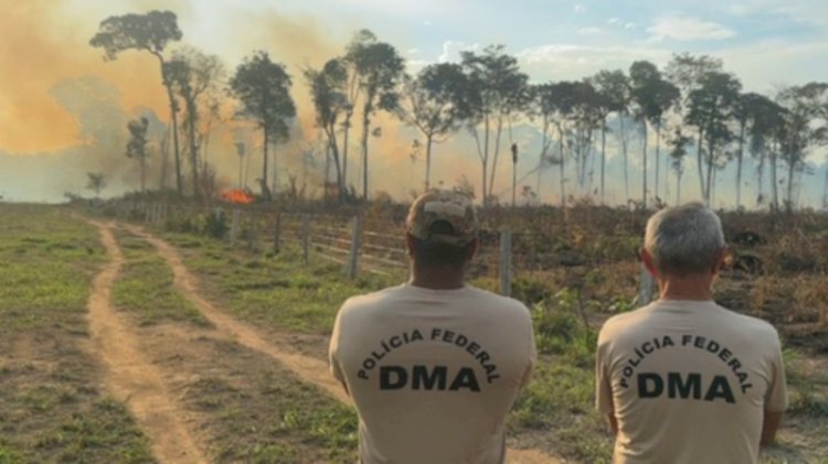 Mulher é presa pela Polícia Federal por provocar incêndio em área de floresta em Alto Paraíso (RO)