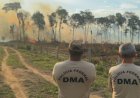 Mulher é presa pela Polícia Federal por provocar incêndio em área de floresta em Alto Paraíso (RO)