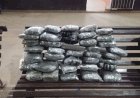Polícia apreende cerca de 20 quilos de maconha e detém adolescente em rodoviária de Nova Mamoré
