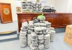 Ação Integrada das Forças de Segurança Resulta na Apreensão de 173 kg de Maconha em São Miguel do Guaporé