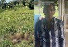 Ossada é localizada em área rural de Governador Jorge Teixeira e pode ser de idoso desaparecido