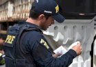 PRF prende motorista por uso de documento falso durante fiscalização em Jaru (RO)