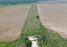 MPF aciona Justiça contra fazendeiros por uso de agrotóxicos e contaminação de indígenas em Rondônia