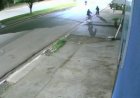 Tentativa de furto é frustrada após comerciante reagir durante a madrugada em Cerejeiras
