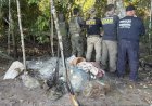 Fiscalização no Rio Guaporé apreende armas, munições e materiais de pesca ilegal durante operação em RO