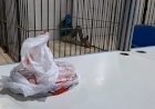 Homem com tornozeleira eletrônica é preso após tentar furtar peça de picanha em supermercado de Porto Velho