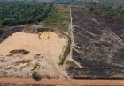 MPF aciona mineradores na Justiça e pede recuperação ambiental após extração ilegal em Rio Crespo