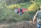 Tragédia na BR-364: colisão entre carro e bitrem deixa cinco mortos em Porto Velho