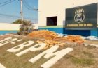 Polícia apreende cerca de 400 kg de drogas durante abordagem na RO-383, em Rolim de Moura