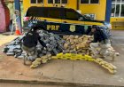 Fundo falso em caminhão escondia mais de 1 tonelada de drogas apreendida pela PRF em Porto Velho