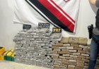 Operação conjunta apreende cerca de 400 kg de maconha e prende casal em área rural de Rondônia