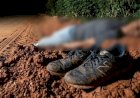 Homem é encontrado morto com mãos e pés amarrados em área rural de São Miguel do Guaporé