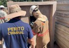Furto de energia: 10 pessoas são presas durante fiscalizações em Rondônia