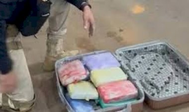 PRF intercepta mais de 10 kg de skunk em ônibus interestadual durante fiscalização em Vilhena