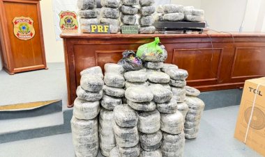 Ação Integrada das Forças de Segurança Resulta na Apreensão de 173 kg de Maconha em São Miguel do Guaporé