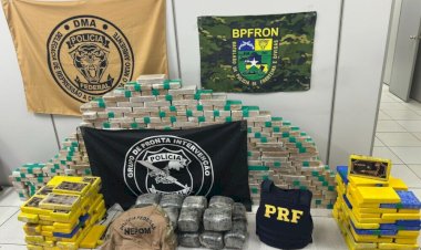 Casal é preso com cerca de 390 kg de drogas durante operação na zona rural de Porto Velho