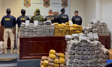 Polícia apreende cerca de 460 kg de drogas escondidos em veículo na BR-429
