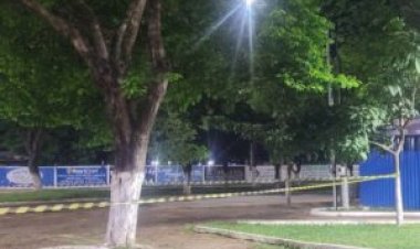 Árvore com risco de queda mobiliza Bombeiros e causa preocupação em praça de Vilhena