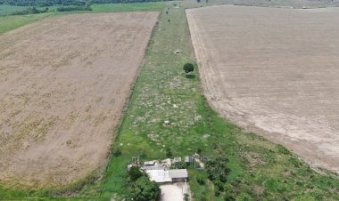 MPF aciona Justiça contra fazendeiros por uso de agrotóxicos e contaminação de indígenas em Rondônia