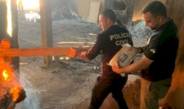 Mais de 670 quilos de drogas são destruídos em operação acompanhada pelo MPRO em Porto Velho