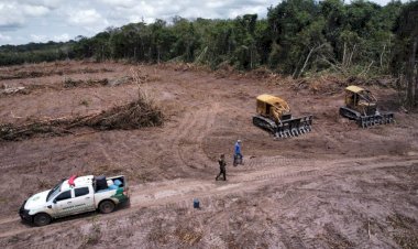 Justiça confirma cobrança de R$ 7,5 milhões contra ex-senador por desmatamento em Rondônia
